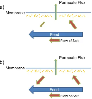 Figure 2. Schematic Diagram of the Flow of Salt during the Reverse Osmosis Process and Illustration of Back Diffusion 