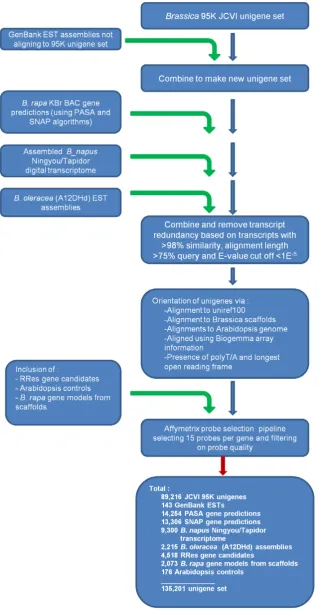 Figure 1. Work flow of the Affymetrix GeneChipHsources. Collated dataset were filtered to remove redundancy and orientated where possible