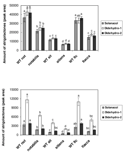 Figure 3A