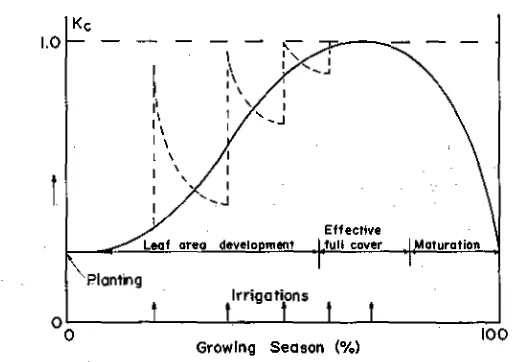 FIG. 1.—CHANGES IN CROP COEFFICIENTS AS INFLUENCED BY STAGE OFGROWTH AND WET SOIL CAUSED BY IRRIGATION OR RAINFALL