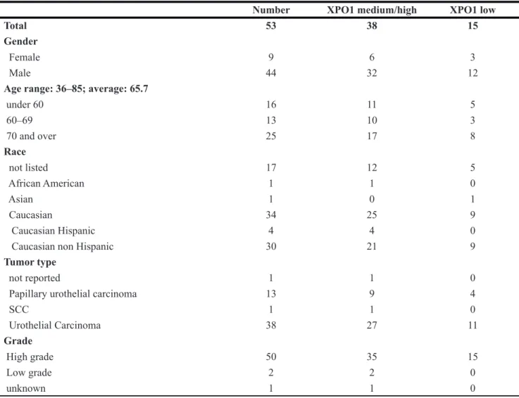 Table 1: Patient and tumor characteristic