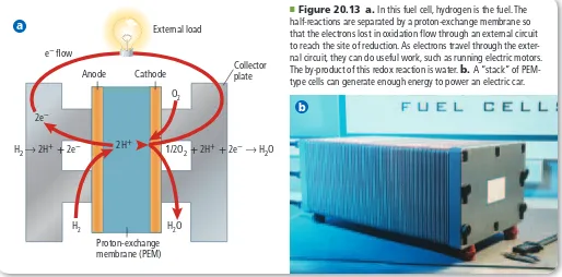 Figure 20.13 use a plastic sheet called a proton-exchange membrane (PEM), which eliminates the need for a liquid electrolyte.