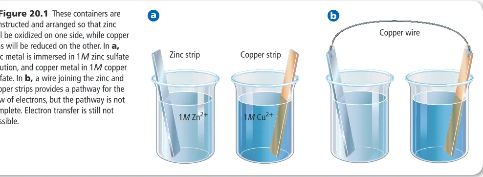 Figure 20.1 andtrons donated from each zinc atom are accepted by a copper (C u   Figure 20.2 illustrate the simple redox reaction in which zinc atoms are oxidized to form zinc (Z n  2+) ions