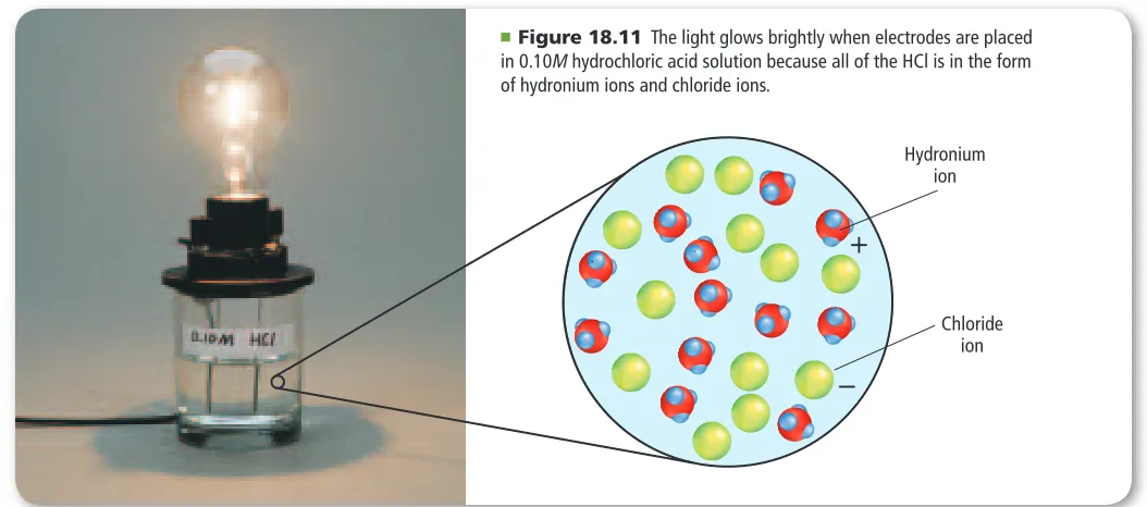 Figure 18.11 indicates that the solution conducts electricity. However, if you compare the brightness of the bulb connected to the HCl solution in Figure 18.11 with that of the bulb connected to the H C   H   O   solu-