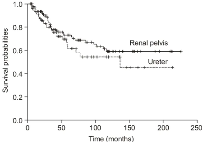 Table  6.  The  comparison  of  the  recurrence-free  and  disease-specific  survival  rates  between  the  renal  pelvis  tumor  and  ureter  tumor  according  to  T  stages