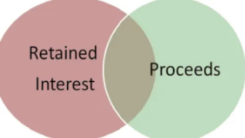 Figure 3: Classification of considerations from a securitization