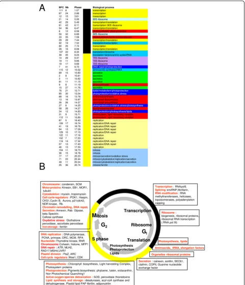 Figure 5 Sequential expression of genes associated with specific biological processes under LD cyclestranscription, translation and protein synthesis are sequentially transcribed