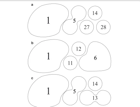 Figure 4 Additional network views. (a) Network view for clusters 27 and 28. (b) Network view for clusters 11 and 12