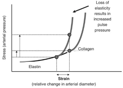 Figure 1: The stress-strain relationship of the human aorta is non-linear and therefore, the elastic  modulus depends on the stress at which it is measured.7 