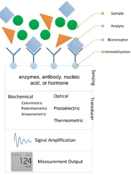 Figure 2-5. The biosensing process