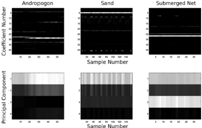 Figure 4: Three classes are represented by using a sparse representation andPCA as dimensionality reduction tool