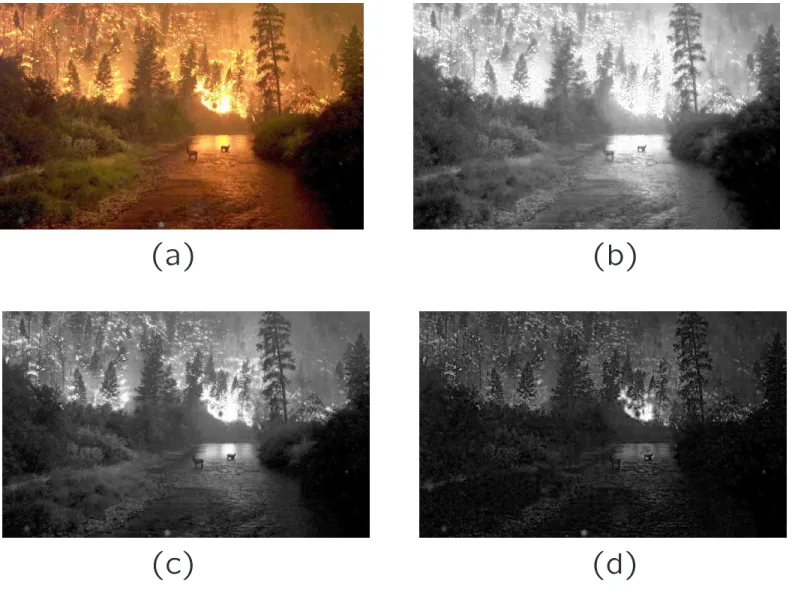 Fig. 3.5 High-resolution color and separate R, G, B color channel images. (a): Example of 24-bit color image “forestfire.bmp”