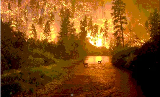 Fig. 3.7 Example of 8-bit color image.