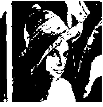 Fig. 3.1: Monochrome 1-bit Lena image.