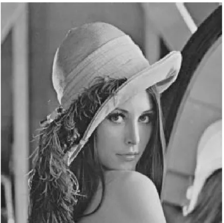 Fig. 3.3: Grayscale image of Lena.