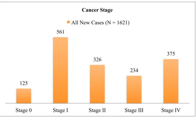 Figure 5. Distribution of cancer stage: all new cancer cases.  