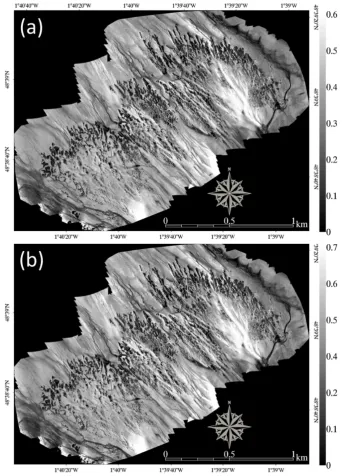 Figure 2.(10,315 pixels with 0.17 m pixel size) ofThe orthomosaic was derived from a 150 m-height eBeeFigure 2