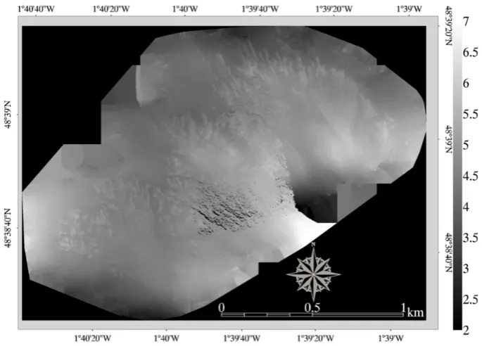 Figure 3.Digital surface model (13 820 × 10 315 pixels with 0.17 m pixel size) of 150 m-height eBeeworm reefs in the BMSM (France)