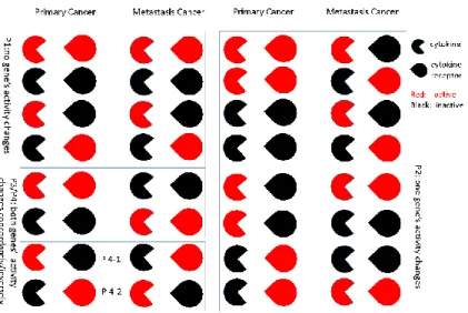 Figure 2. Gene-gene activity alteration patterns. 