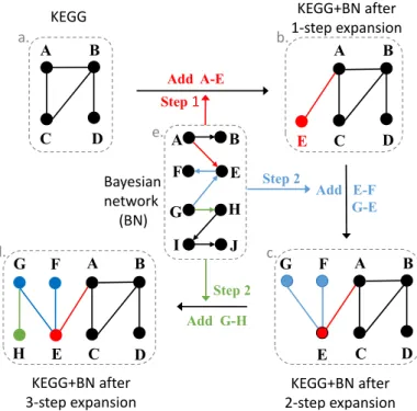 Figure 3. KEGG pathways expansion with the Bayesian network. 