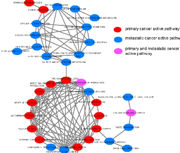 Figure 4. Pathway connections among 35 significantly differentially-active pathways in the general  condition (general condition means in the raw KEGG pathways).