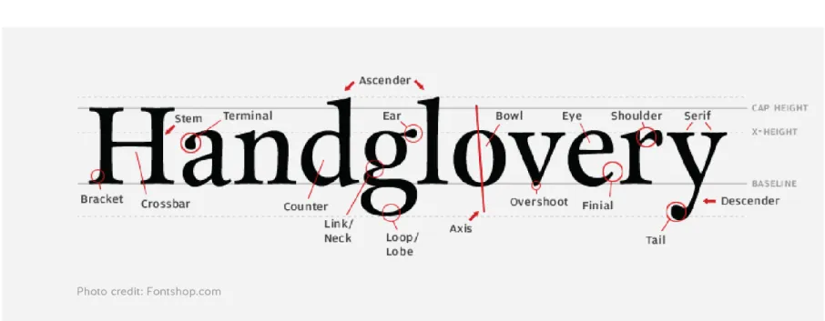 Figure 02 - Type Anatomy