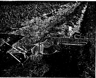 FIGURE 9 : A float-operated check gate being used with the borderturnout gate.