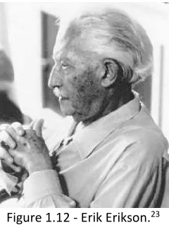 Figure 1.12 - Erik Erikson.23 