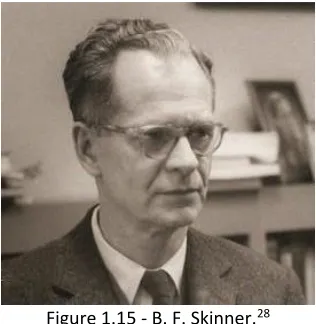 Figure 1.15 - B. F. Skinner.28  