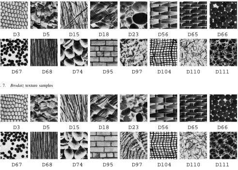 Fig. 7.Brodatz texture samples