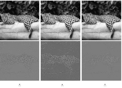 Fig. 9.Use of various prototypes: jaguar (continued); (top)line (middle) cliff, (bottom) ridge (left) highpass approximation (right) imagereconstruction
