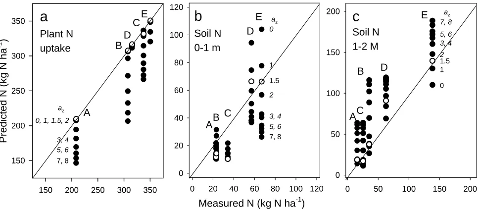 Figure 8. Comparisons of measured and model simulated N results from white cabbage grown at five N fertilizer 