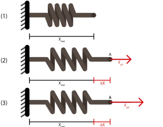 Figure 2.3: Stiffness feedback example (1) Spring at rest length. (2) Spring extended byforce Fp1