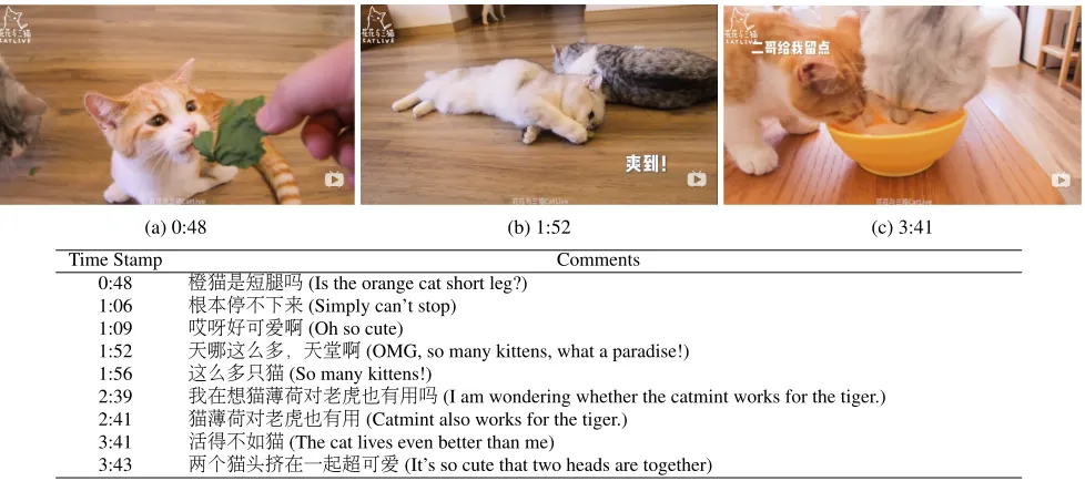 Figure 3: A data example of a video paired with selected live comments in the Live Comment Dataset