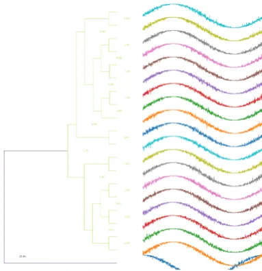 Figure 8. Application of the method proposed in this work for one cosine and nineteen sines.