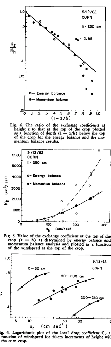 Fig. 4. The ratio of the exchange coefficients atheight z to that at the top of the crop plotted