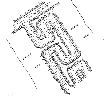 Fig. 43-2. Block system furrow irrigation.