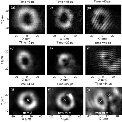 FIG. 4: Time evolution of a m = 2 vortex TOPO signal excited close to zero momentum, k = 0,