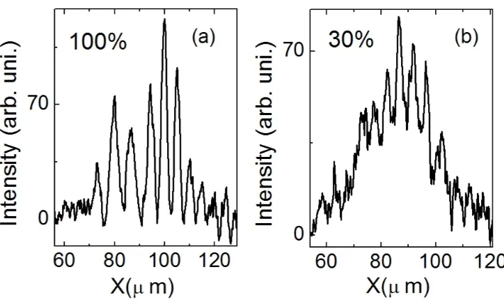 FIG. 6: Intensity of interference fringes (arbitrary units) of the polariton emission after arrival of