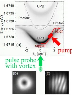 FIG. 1: Lower (LPB) and upper polariton branch (UPB) dispersions together with the schematic