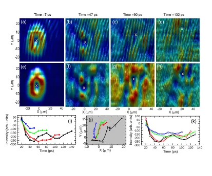 FIG. 2: Time evolution of the polariton signal after a weak pulsed probe with a vortex of m = 1