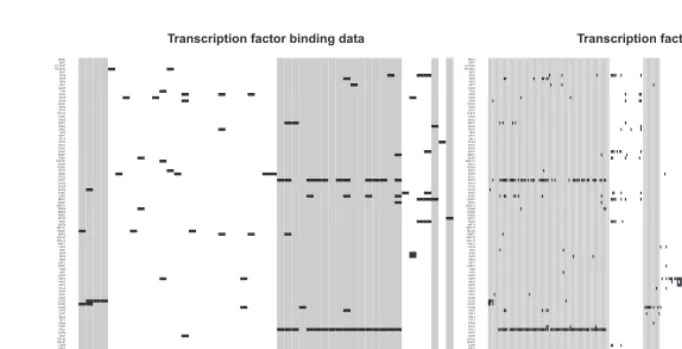 Fig. 4. The ChIP-chip data for the fused genes of the galactose utilization (left) and cell cycle (right) dataset analyses