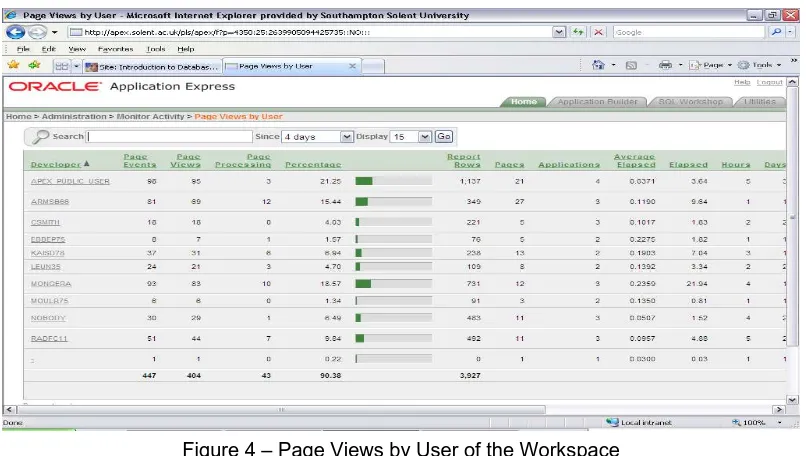 Figure 4 – Page Views by User of the Workspace 