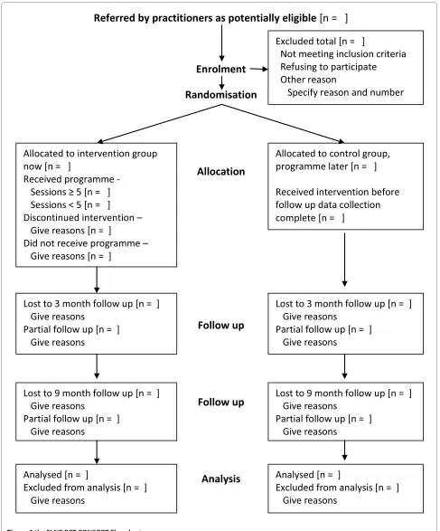 Figure 1 the FLNP RCT CONSORT Flowchart.