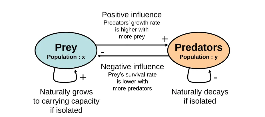 Figure 4.7: Interactions between the prey and predator populations illustrated in acausal loop diagram.
