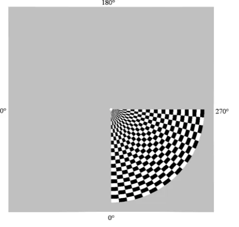 Fig. 1. The experimental stimulus.
