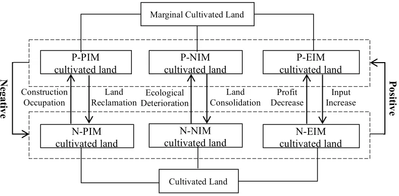 Figure 4 Internal Logic Relations among Different Types of Marginalization of Cultivated Land 