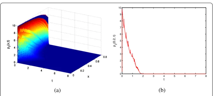 Figure 4 Contour plot of and sectional view protein concentration p2(t,x).