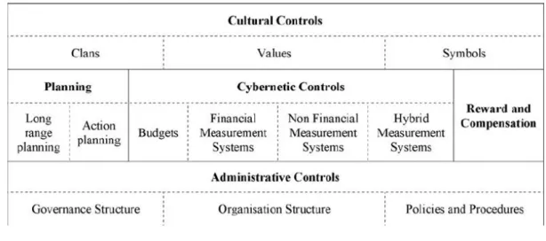Figure 2 illustrates the typology and its different elements are described below. Cultural  controls  are  presented  at  the  top,  and  broadly  affecting  the  whole  control  system