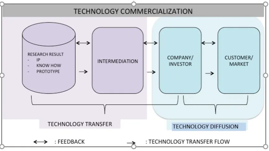 Figure 2.Figure 2.  Science–technology transfer and innovation diScience–technology transfer and innovation diffusion process